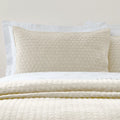 Bianca Attica Velvet Embroidered Blue Pillow Sham Pair 10